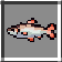 Broad Whitefish