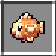 Desert Pupfish
