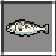 Haddock