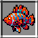 Heatwave Barb