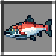Sockeye Salmon