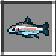 Steelhead