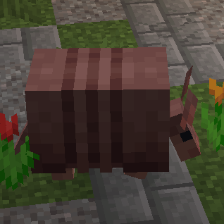 Armadillo