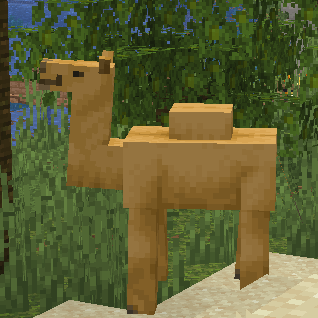 Camel