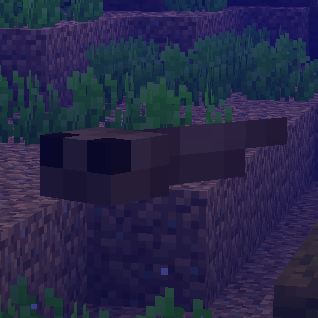 Eel