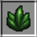 Evergreen Fragment
