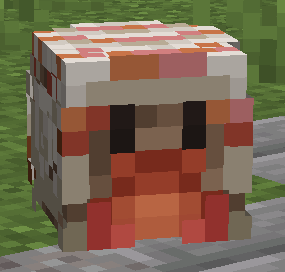 Hermit Crab