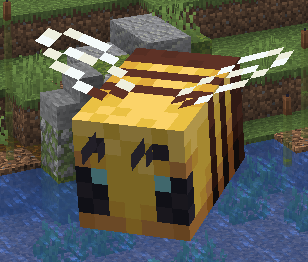Honey Bee