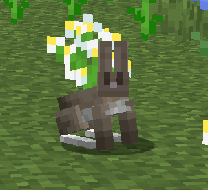 Meadow Hare