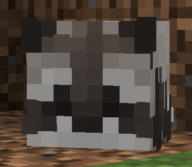 Raccoon
