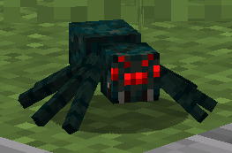 Sea Spider