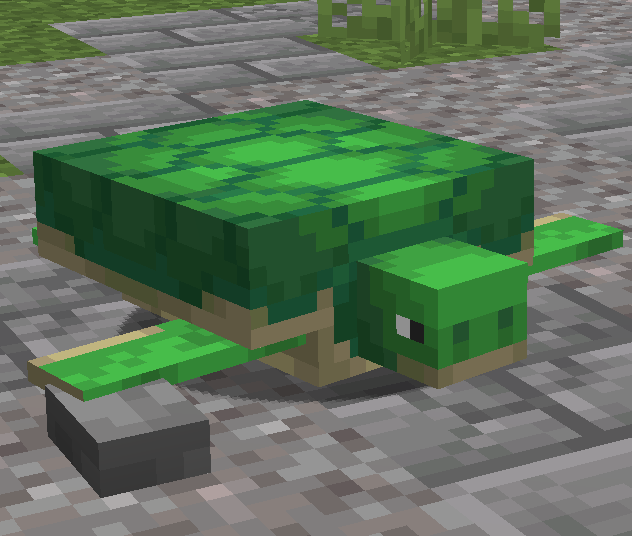 Snapping Turtle