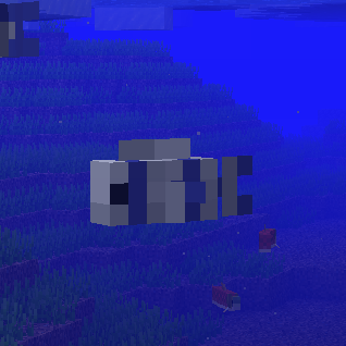 Snow Fish