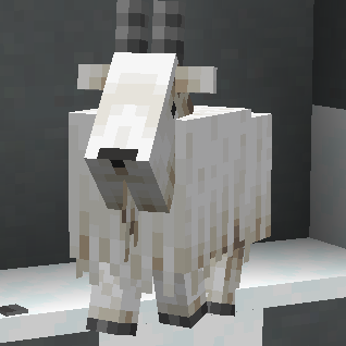 Goat