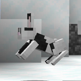 Snow Hare