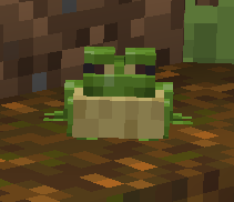 Toad