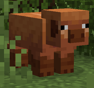 Wild Boar