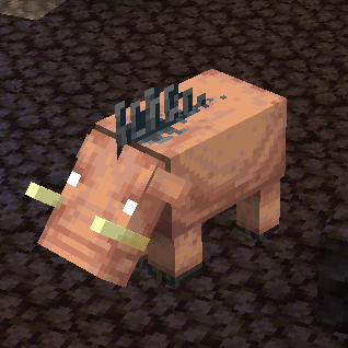 War Boar